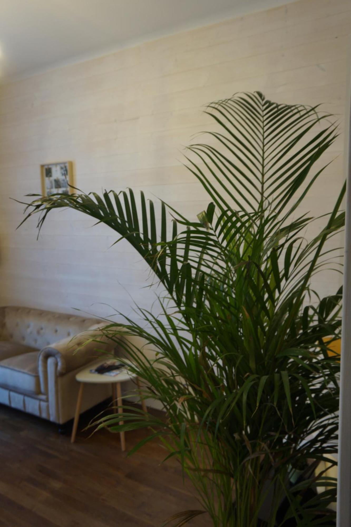 L'Experience Appartement & Spa Prive Chambéry Buitenkant foto